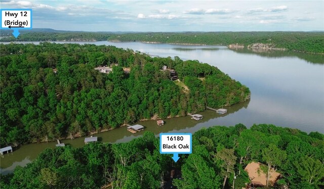 16180 Black Oak Ln, Rogers, AR 72756 - aerial overview of property's location with a nearby body of water and a forest