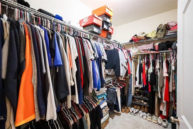 walk in closet with carpet floors