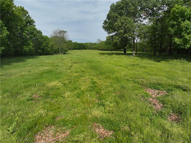 143 Horton Rd, Powell, MO 64861 - photo 56