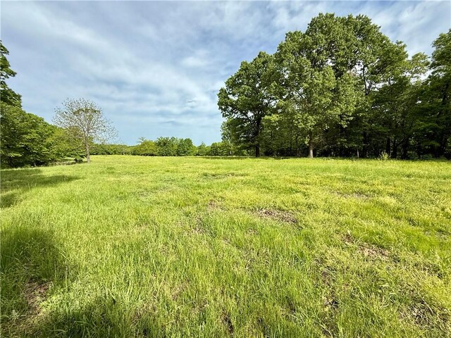 143 Horton Rd, Powell, MO 64861 - photo 6