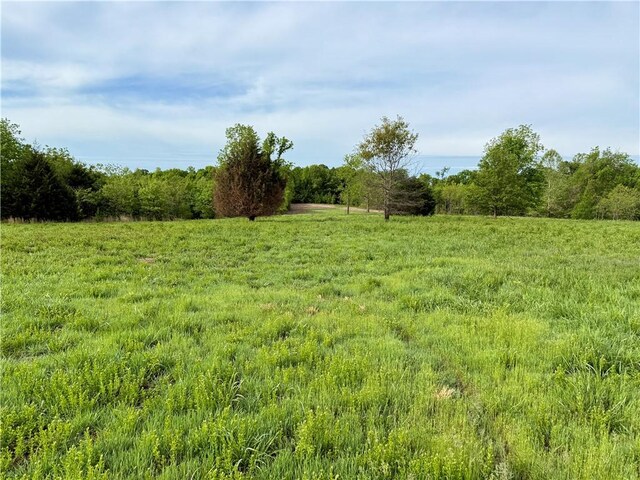 143 Horton Rd, Powell, MO 64861 - photo 7