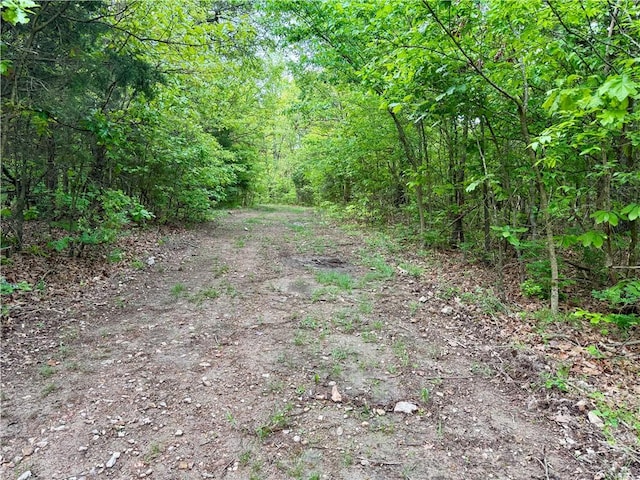 143 Horton Rd, Powell, MO 64861 - photo 38