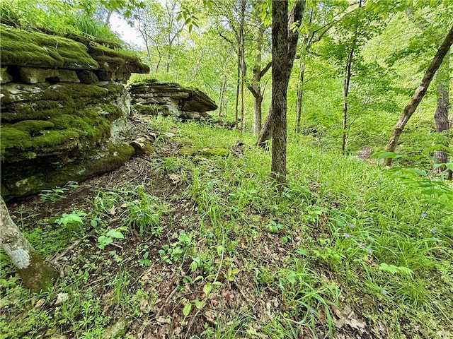 143 Horton Rd, Powell, MO 64861 - photo 22