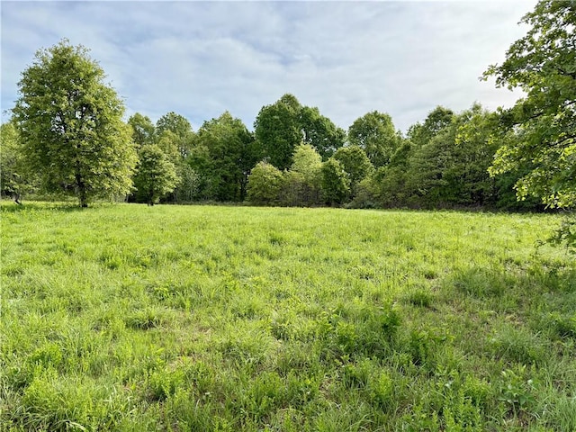 143 Horton Rd, Powell, MO 64861 - photo 34