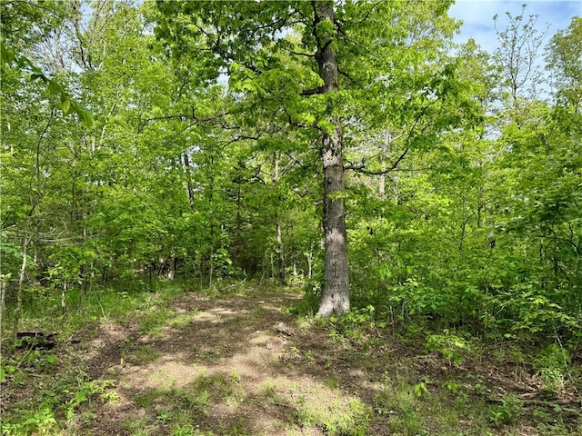 143 Horton Rd, Powell, MO 64861 - photo 35
