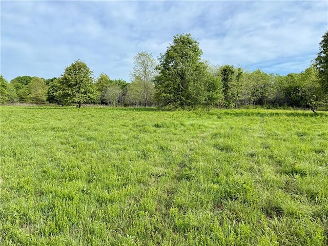 143 Horton Rd, Powell, MO 64861 - photo 40