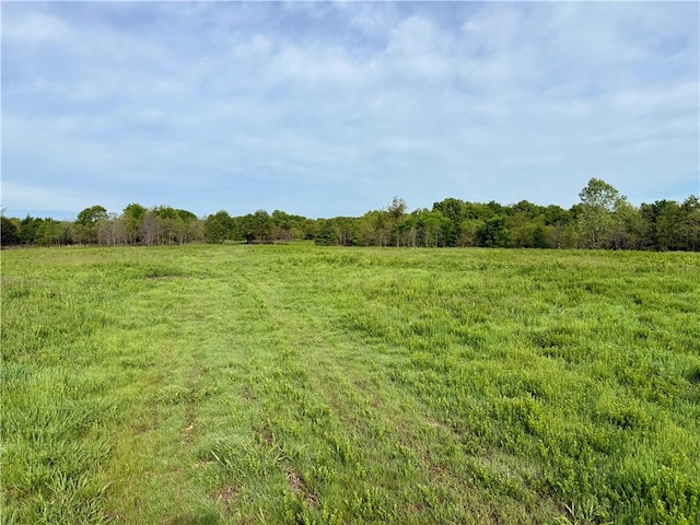 143 Horton Rd, Powell, MO 64861 - photo 41