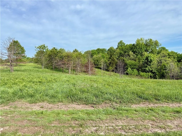 143 Horton Rd, Powell, MO 64861 - photo 42