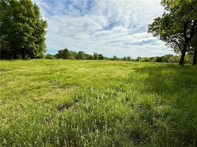 143 Horton Rd, Powell, MO 64861 - photo 43