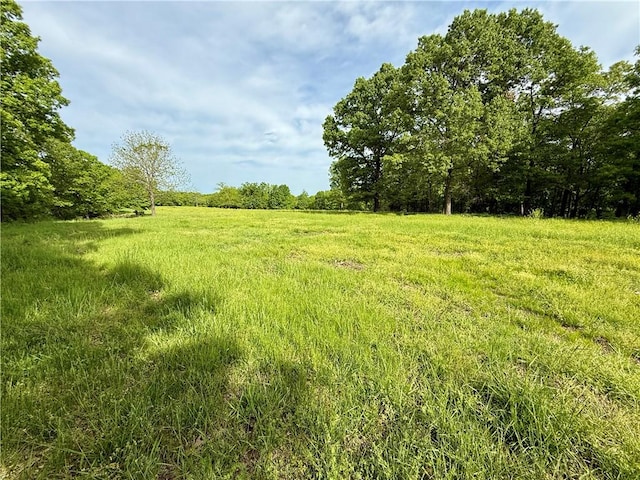143 Horton Rd, Powell, MO 64861 - photo 44