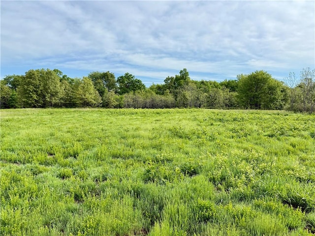 143 Horton Rd, Powell, MO 64861 - photo 46