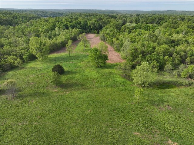 143 Horton Rd, Powell, MO 64861 - photo 4