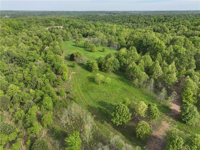 143 Horton Rd, Powell, MO 64861 - photo 47