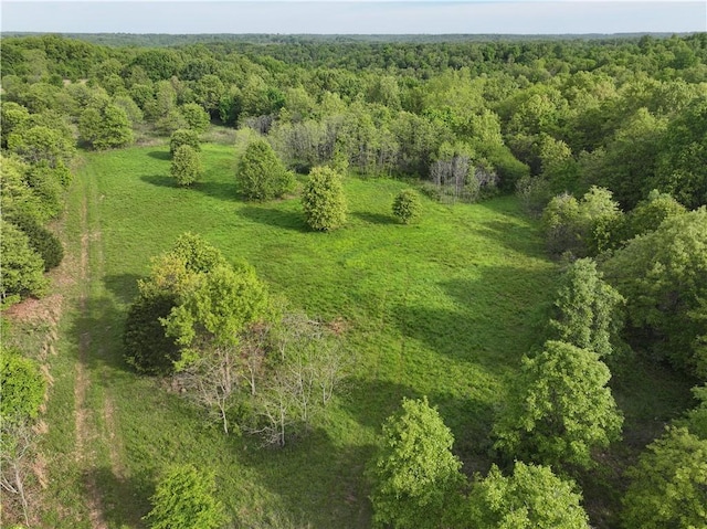 143 Horton Rd, Powell, MO 64861 - photo 49