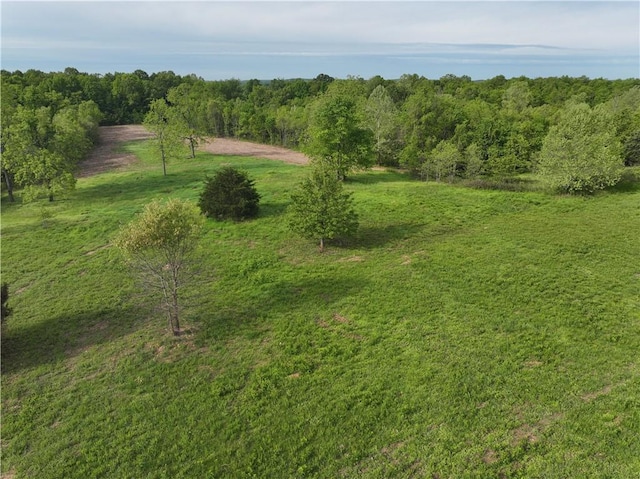143 Horton Rd, Powell, MO 64861 - photo 52