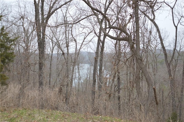 24550 Capps Ranches Rd, Rogers, AR 72756 - photo 3
