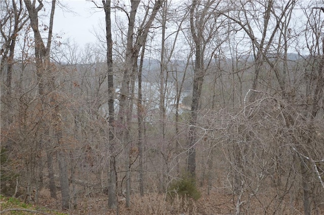 24550 Capps Ranches Rd, Rogers, AR 72756 - photo 10