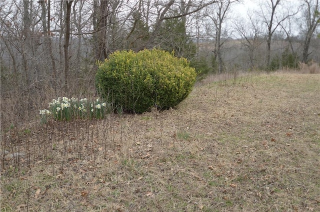 24550 Capps Ranches Rd, Rogers, AR 72756 - photo 12