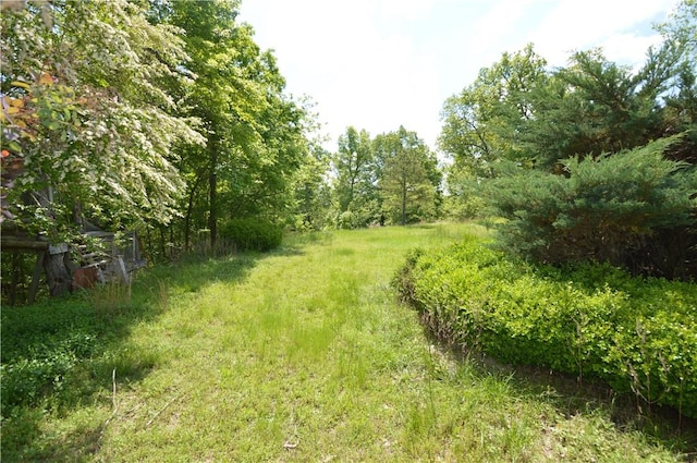 24550 Capps Ranches Rd, Rogers, AR 72756 - photo 13