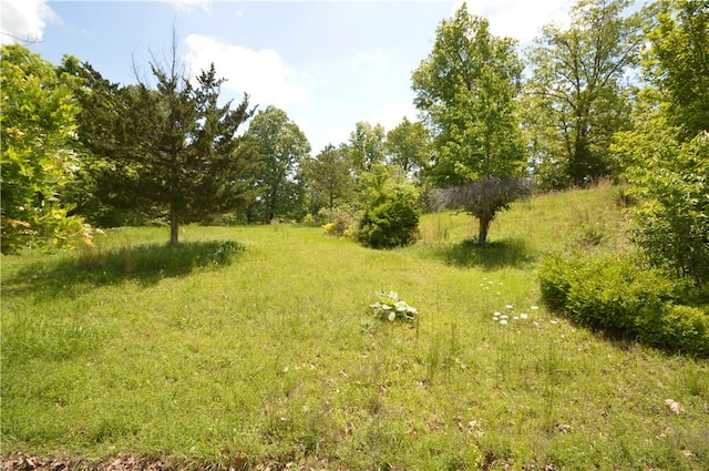 24550 Capps Ranches Rd, Rogers, AR 72756 - photo 15