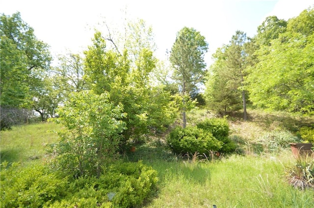 24550 Capps Ranches Rd, Rogers, AR 72756 - photo 18