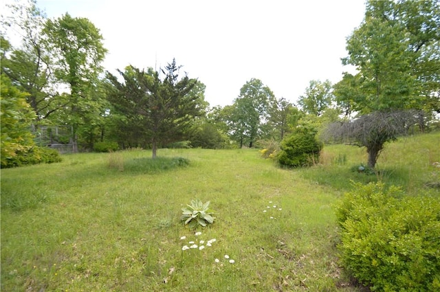 24550 Capps Ranches Rd, Rogers, AR 72756 - photo 20