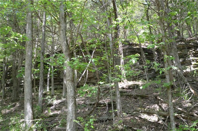 24550 Capps Ranches Rd, Rogers, AR 72756 - photo 17