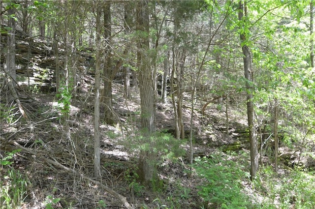 24550 Capps Ranches Rd, Rogers, AR 72756 - photo 19
