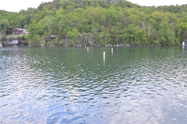 24550 Capps Ranches Rd, Rogers, AR 72756 - photo 41