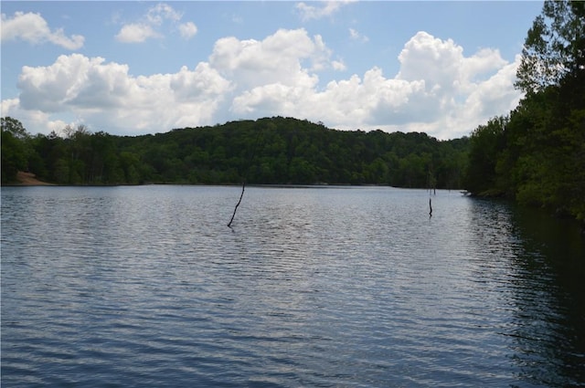 24550 Capps Ranches Rd, Rogers, AR 72756 - photo 42