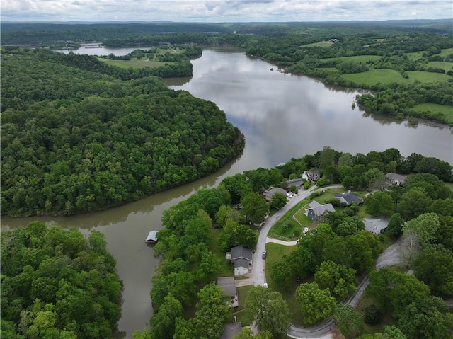 22058 Dogwood Cir, Springdale, AR 72764 - bird's eye view of a nearby body of water and a heavily wooded area