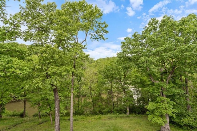 22058 Dogwood Cir, Springdale, AR 72764 - photo 20