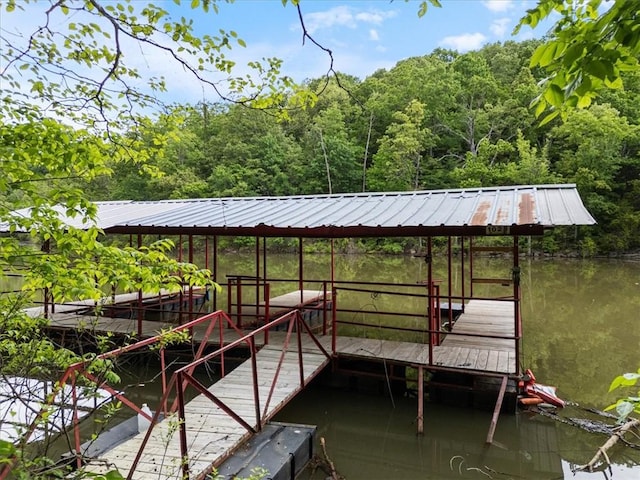 22058 Dogwood Cir, Springdale, AR 72764 - dock featuring a water view and a view of trees