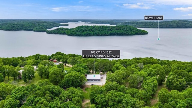 103 County Road 1522, Eureka Springs, AR 72632 - drone / aerial view of a large body of water and a forest