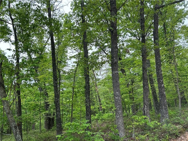 Arabian Ln, Rogers, AR 72756