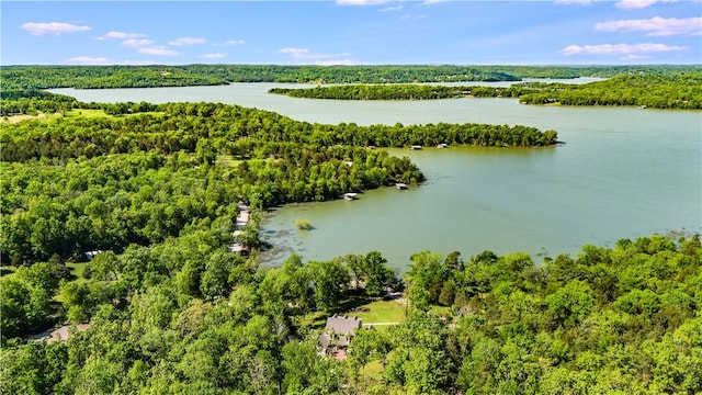 9696 Fuller Rd, Rogers, AR 72756 - aerial view of a forest and a large body of water