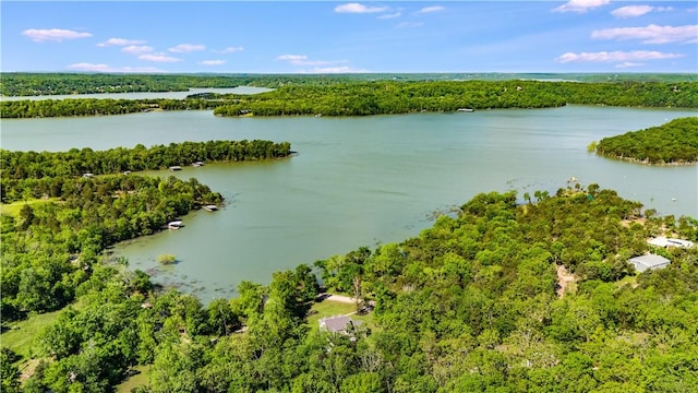 9696 Fuller Rd, Rogers, AR 72756 - bird's eye view of a forest and a large body of water