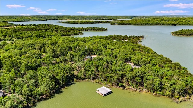 9696 Fuller Rd, Rogers, AR 72756 - drone / aerial view of a heavily wooded area and a nearby body of water