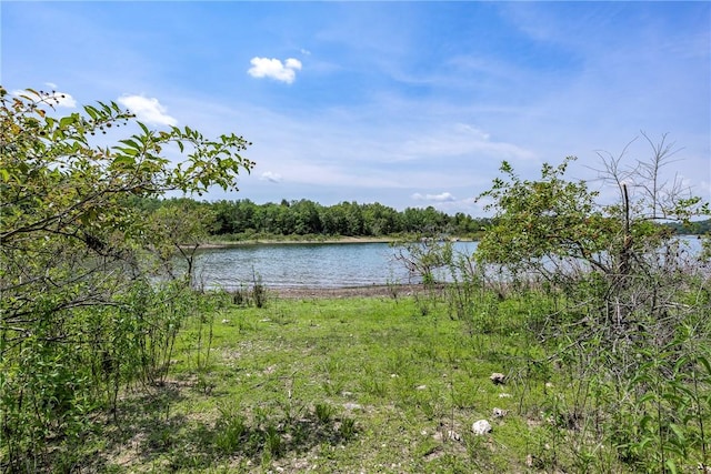 9696 Fuller Rd, Rogers, AR 72756 - water view featuring a heavily wooded area