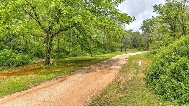 17155 Deer Park Ln, Pea Ridge, AR 72751 - view of community featuring driveway and a view of trees