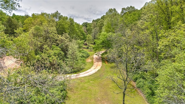 17155 Deer Park Ln, Pea Ridge, AR 72751 - bird's eye view of a heavily wooded area
