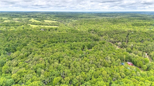 17155 Deer Park Ln, Pea Ridge, AR 72751 - aerial view of a heavily wooded area