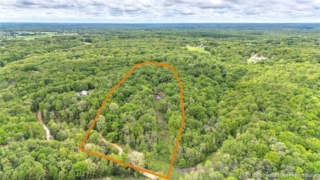 17155 Deer Park Ln, Pea Ridge, AR 72751 - aerial view of property's location featuring a forest and property boundaries highlighted