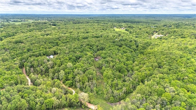 17155 Deer Park Ln, Pea Ridge, AR 72751 - aerial view of a forest