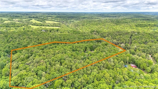 17155 Deer Park Ln, Pea Ridge, AR 72751 - aerial overview of property's location featuring a forest and property parcel outlined