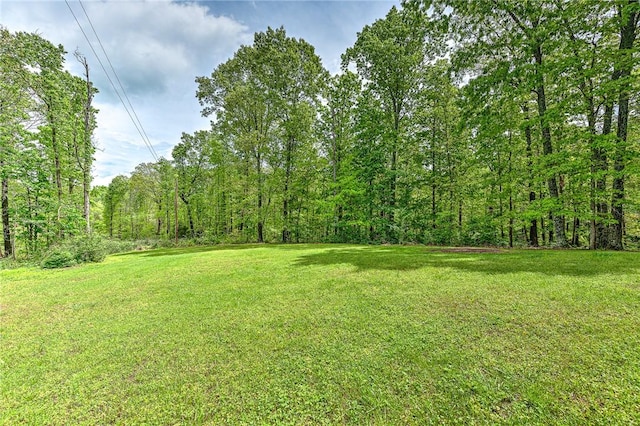 17155 Deer Park Ln, Pea Ridge, AR 72751 - view of grassy yard