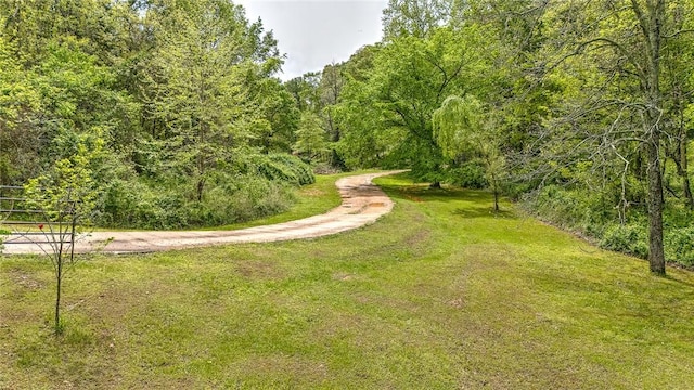 17155 Deer Park Ln, Pea Ridge, AR 72751 - surrounding community with a wooded view and a yard