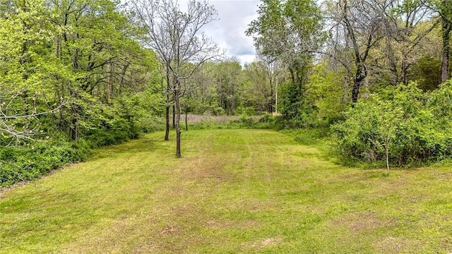 17155 Deer Park Ln, Pea Ridge, AR 72751 - view of grassy yard featuring a wooded view