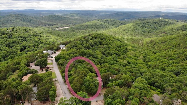 13 Rancho Vista Ln, Holiday Island, AR 72631 - bird's eye view of a forest and mountains