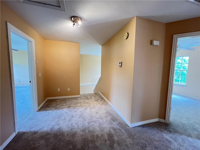 3703 Hansom Loop, Bentonville, AR 72712 - additional living space with carpet and baseboards